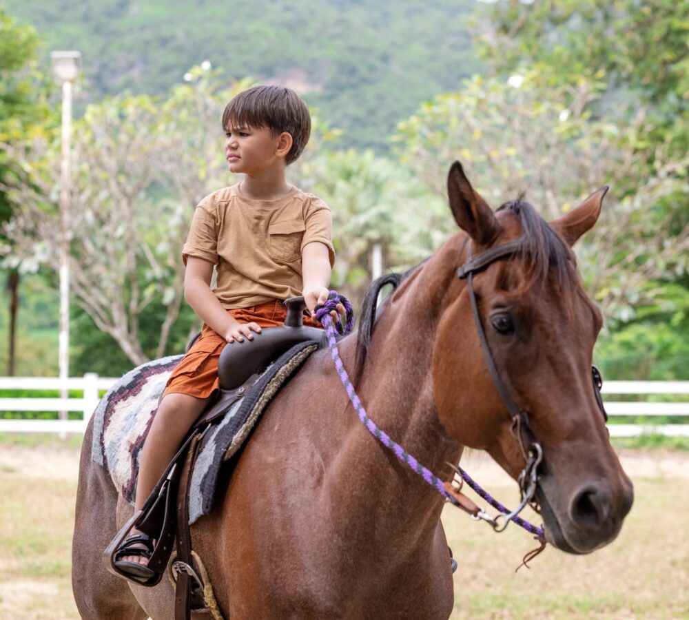 portrait of little boy riding a horse.jpg