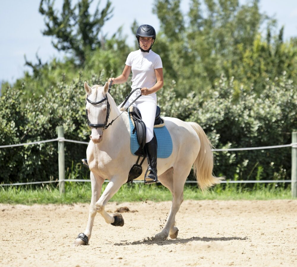 riding girl and horse 1.jpg riding girl and horse 1.jpg