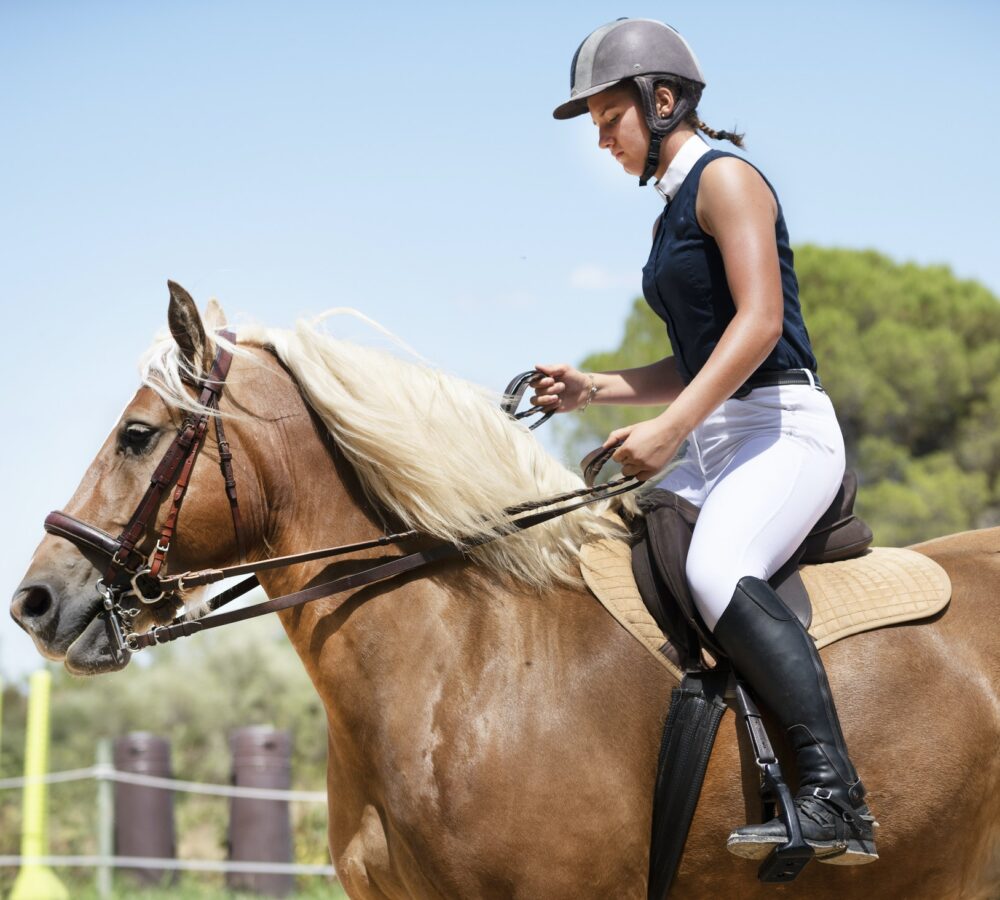 riding girl and horse.jpg