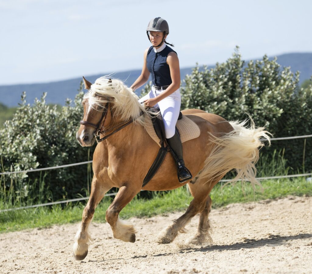 riding girl and horse 2.jpg